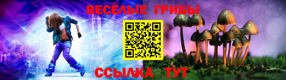 Галлюциногенные грибы Psilocybe Липецк